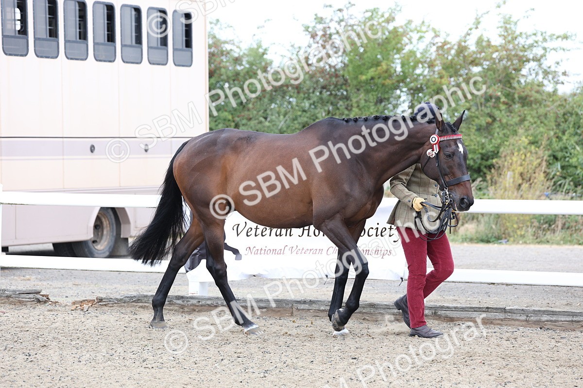 SBM_00005 - Class 50 - Best Turned Out IH