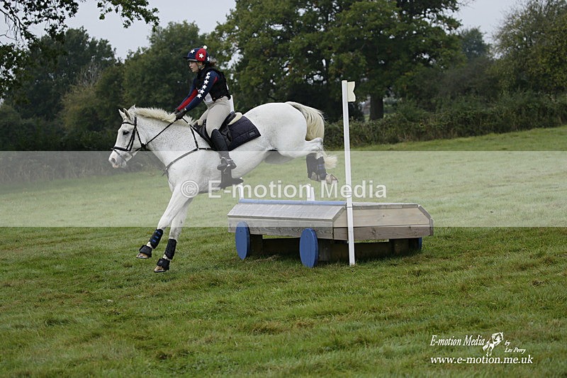 WWHT 171021 0202 - Novice Restricted (0.80m)  17/10/21