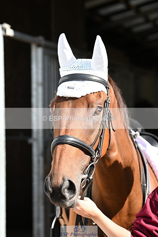 240809A-091837-00069 - Stable Shots