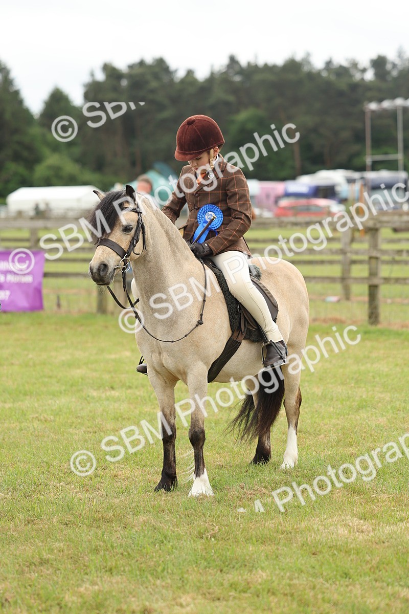 SBM_07144 - Class 76-77 - Ridden M&M Welsh Ponies