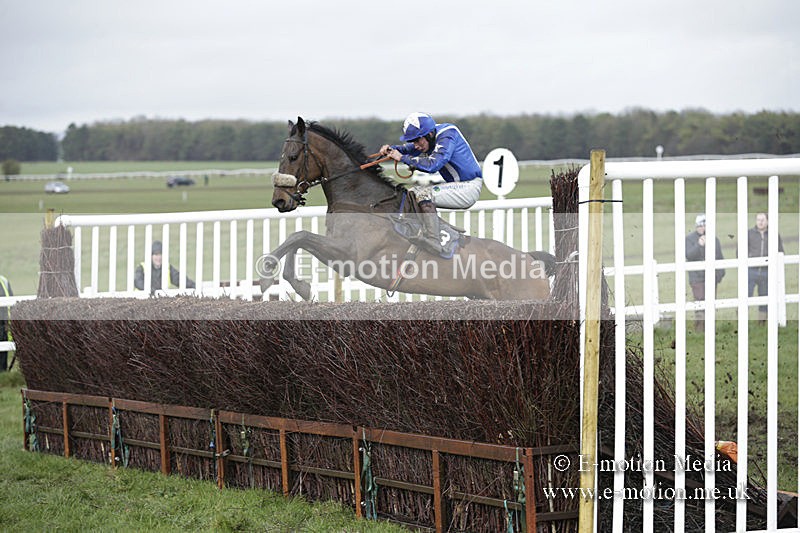 PtP 150320 0406 - New Forest Point-to-Point Larkhill 15/03/20