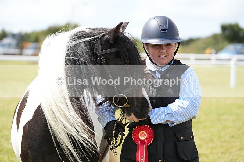 DSC06956 - Class 60: Coloured Pony 4yrs & over