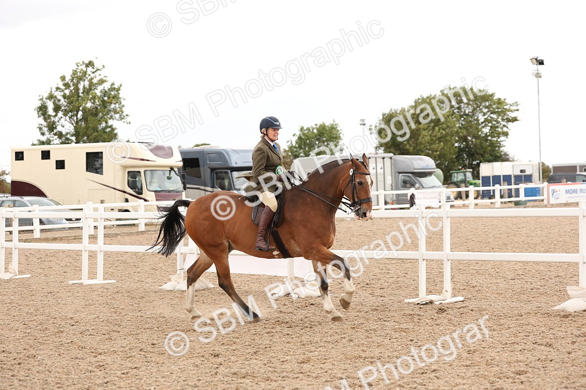 SBM_19613 - Class 215 - Ridden Show cob