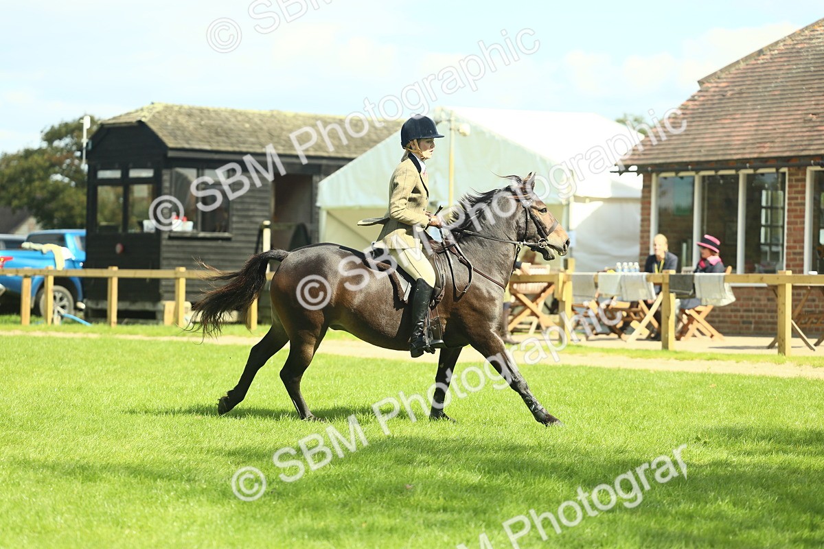 SBM_42903 - S30 - M&M Working hunter Pony