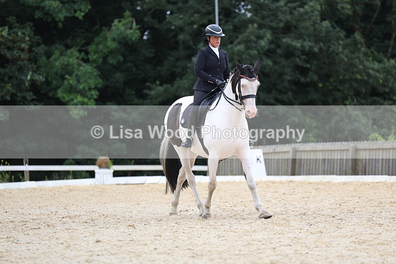 3E7A7379 - Class 9: Elementary 4 2024 - No sections