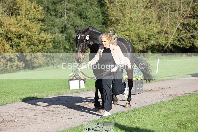 241027-095309-15558 - 372-Michelle.Newnham-LOUIS.HS