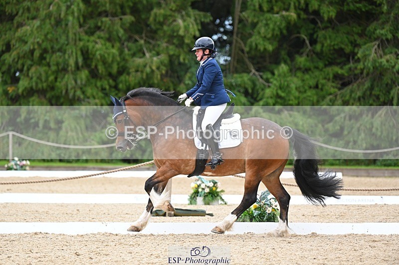 230813-142602-07758 - Cls 13 Medium Bronze 13.15 to End