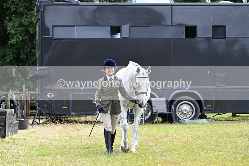 WJ7_6849 - Class 5a Most Handsome Gelding in Hand