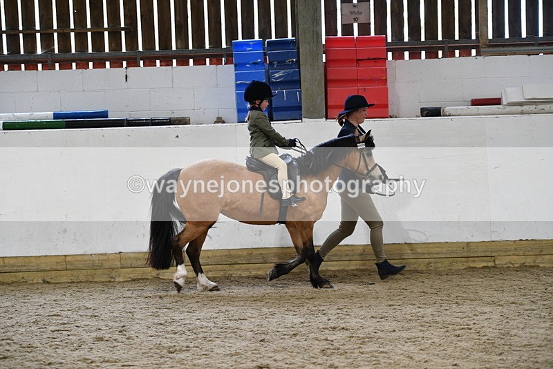 WJ5_6554 - Class 10 Childs Pony