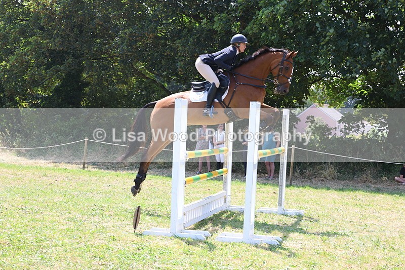 3E7A3342 - Class 10: Senior Foxhunter/1.20 open