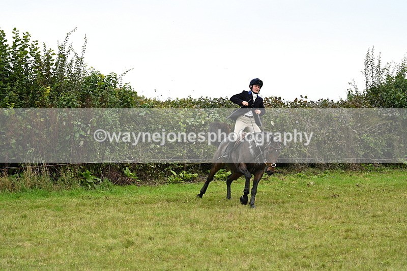 WJ7_4108 - Camera 1 Line 2