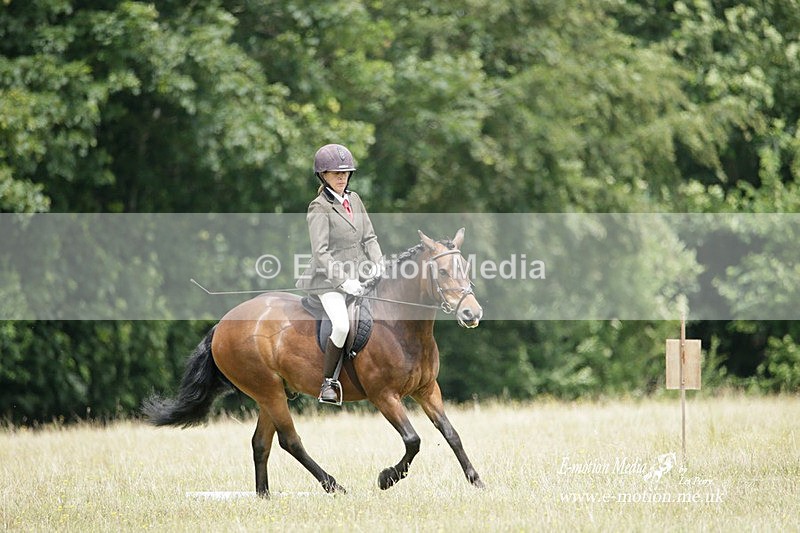 BVRC 030721 405 - Bourne Valley Riding Club Dressage 03/07/21