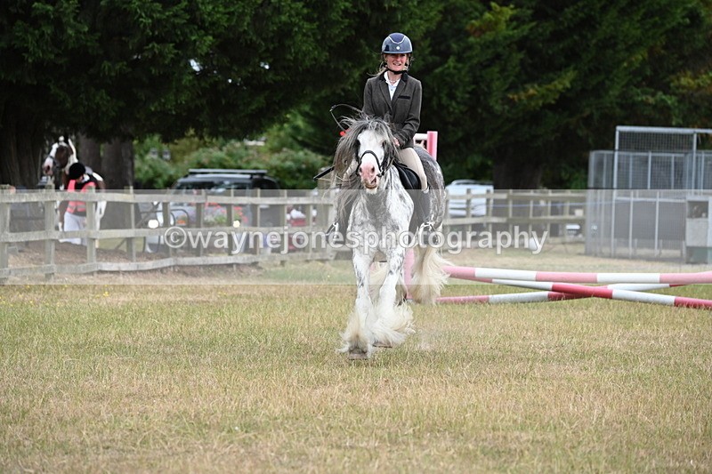 WJ6_9699 - Class 12 Minimus Jumping 45cm