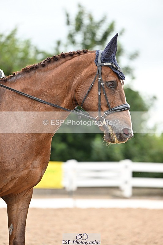 250705-175535-04206 - N2 Section BDNOV2 16.29 to 17.46