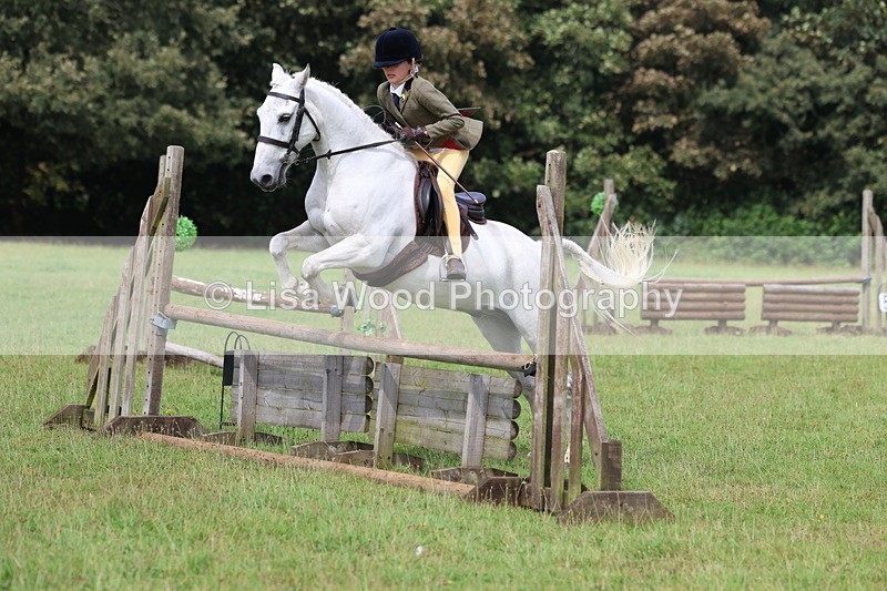 3E7A5799 - Class 26 and 27: 70cm Working Hunter