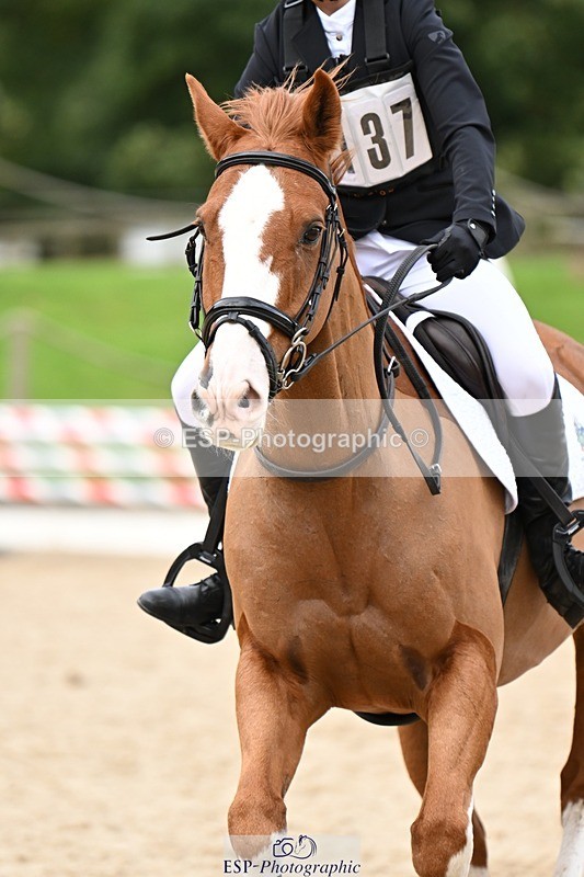 240929-114131-00483 - Cls 2 80-85cm Start to 12.05 CW