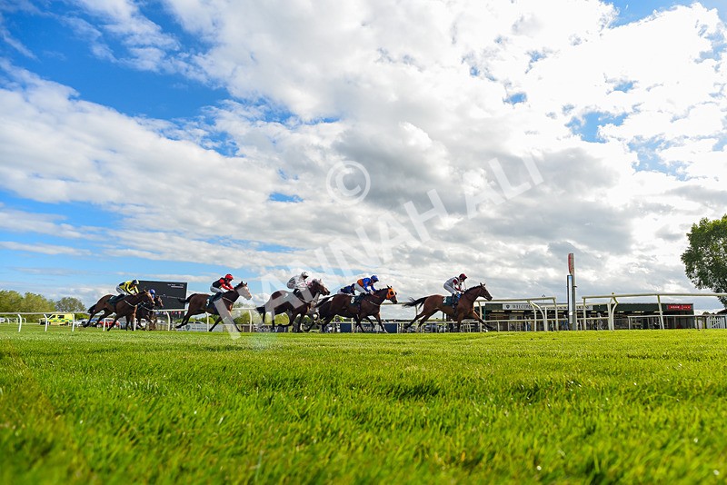 110526-Race 6-Betties Bay-2515 - Race 6 5.00pm Racing Again 21st May Fillies' Handicap