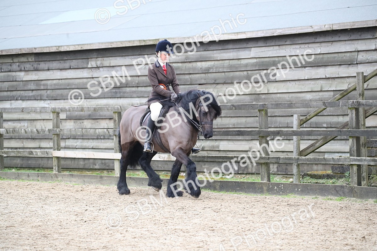 SBM_006474 - Class 10-13 - RIHS Small Large Breeds