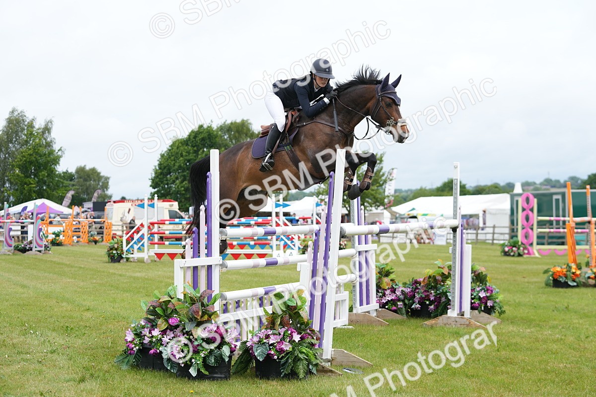 SBM_03053 - Class 201 - British Horse Feeds Speedi Beet Horse of the Year Show Grade  C