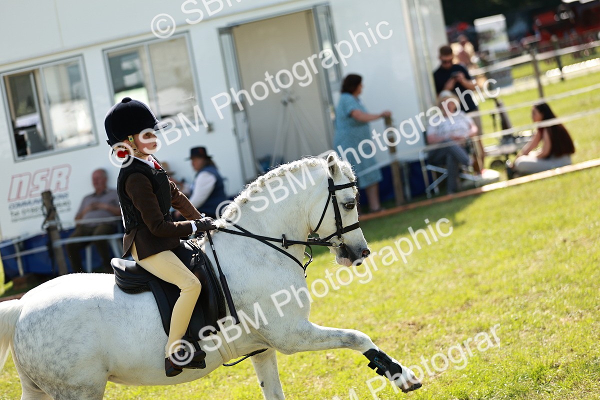 SBM_13543 - Class 108-109 - BSPS LIHS Open Gradle & Nursery Stakes