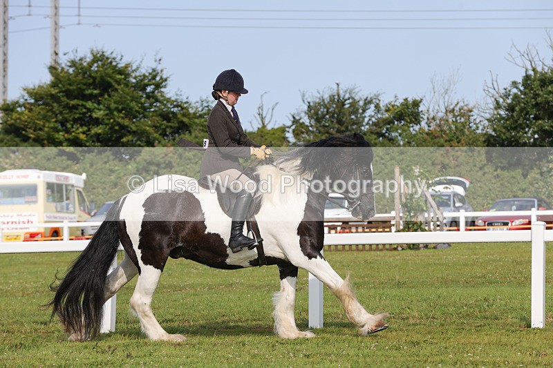 1X9A3163 - Class 27:  Ridden Native/Trad Coloured Horse