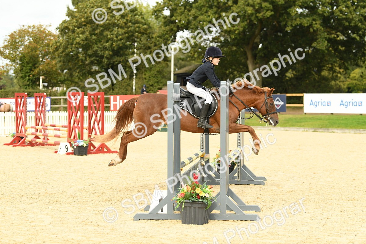 SBM_71144 - J15 - Junior Pony 70cm Championship