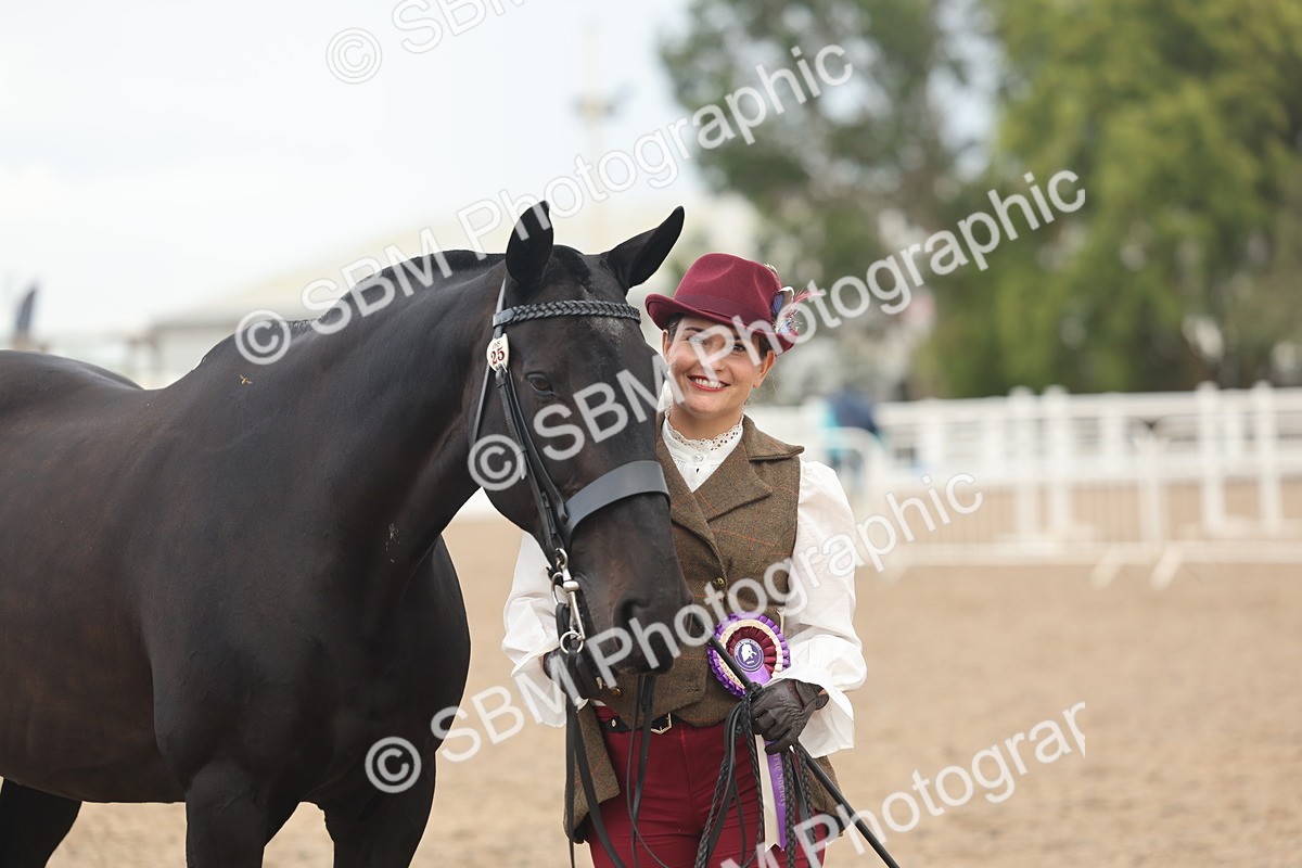 SBM_07954 - Class 28 - IH Veteran Horse