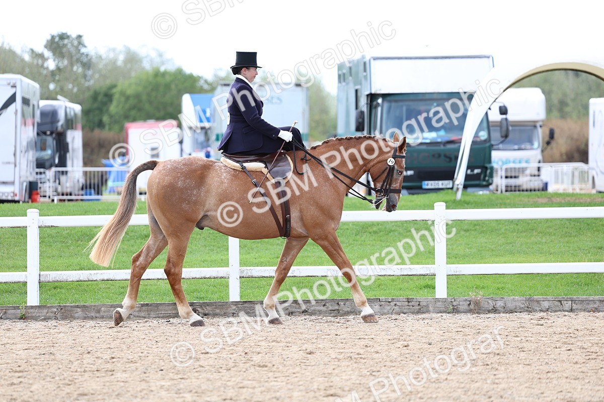 SBM_03172 - Class 22 - SSA Equitation (any age)