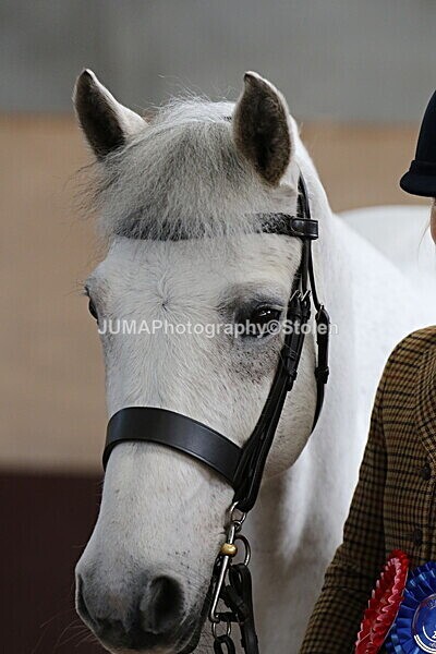 SIAL0405 - Indoor Classes