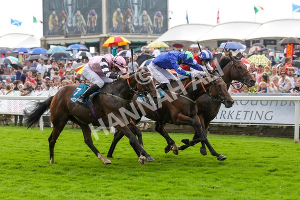 100923-Race 6-Anjo Bonita-4003 - Race 6 4.25pm Hanson Springs 60th Anniversary Handicap at York