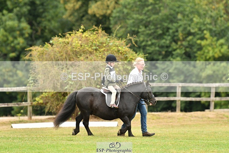 250820A-113331-05137 - 11am to 12