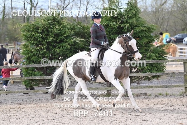 BPP_7401 - RING 1  (RIDDEN HORSES / IN HAND / VETERAN ETC)