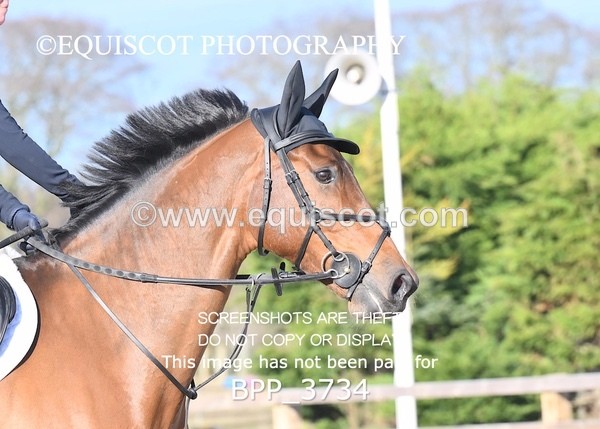 BPP_3734 - CLASS 8 Senior Newcomers/ 1.10m Open