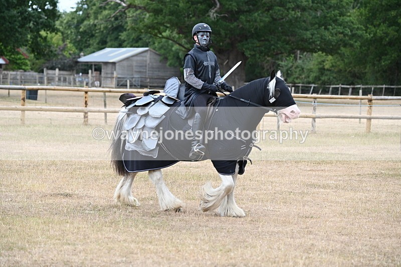 WJ6_8865 - Class 11 Fancy Dress