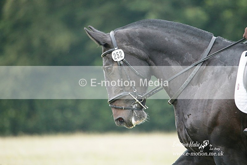 BVRC 030721 30 - Bourne Valley Riding Club Dressage 03/07/21