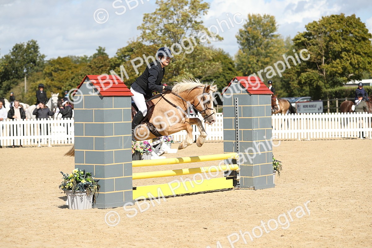 SBM_05607 - J35 - Veteran Rider 60cm