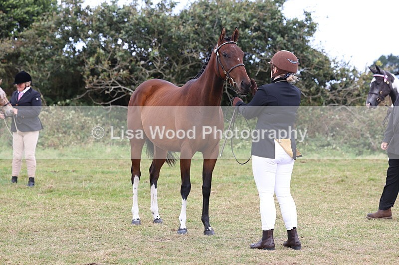 3E7A4153 - Class 15: Two Year Olds