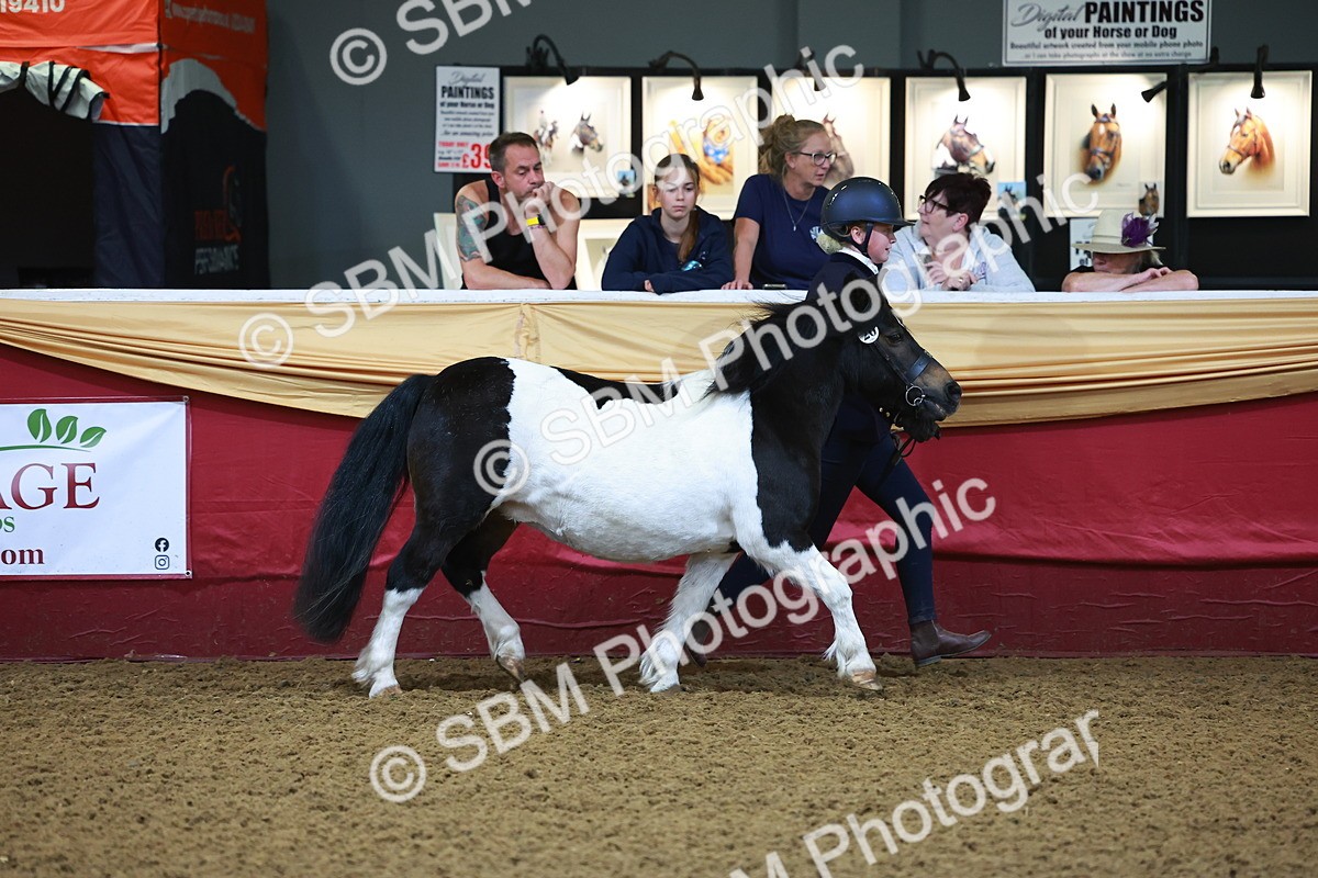 SBM_14687 - Class B - Junior Champ 11 to 16 Years