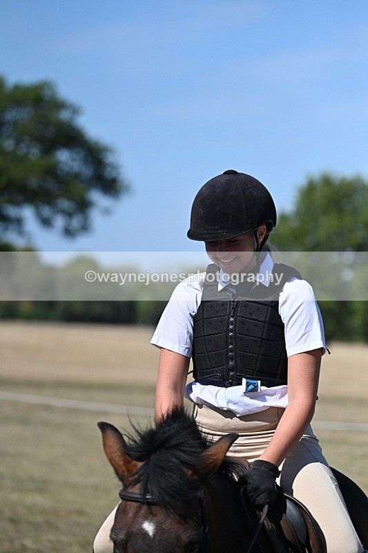 WJ7_1518 - Class 42 Most Handsome Gelding