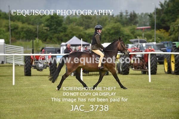 JAC_3738 - 75CM WORKING HUNTER