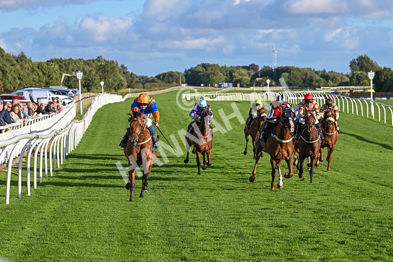 100924-Race 8-Homer Stokes-0862 - Race 8