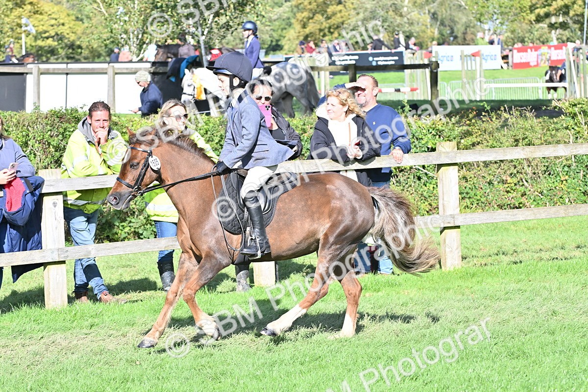 SBM_50269 - S21 - Novice & Newcomers First Ridden