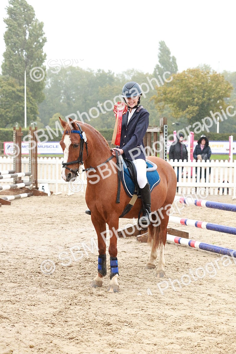SBM_73479 - Supreme Championship Junior Pony 60cm & 65cm