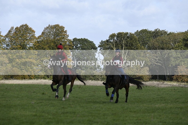 _DSC5949 - Time 11:23 to 12:05