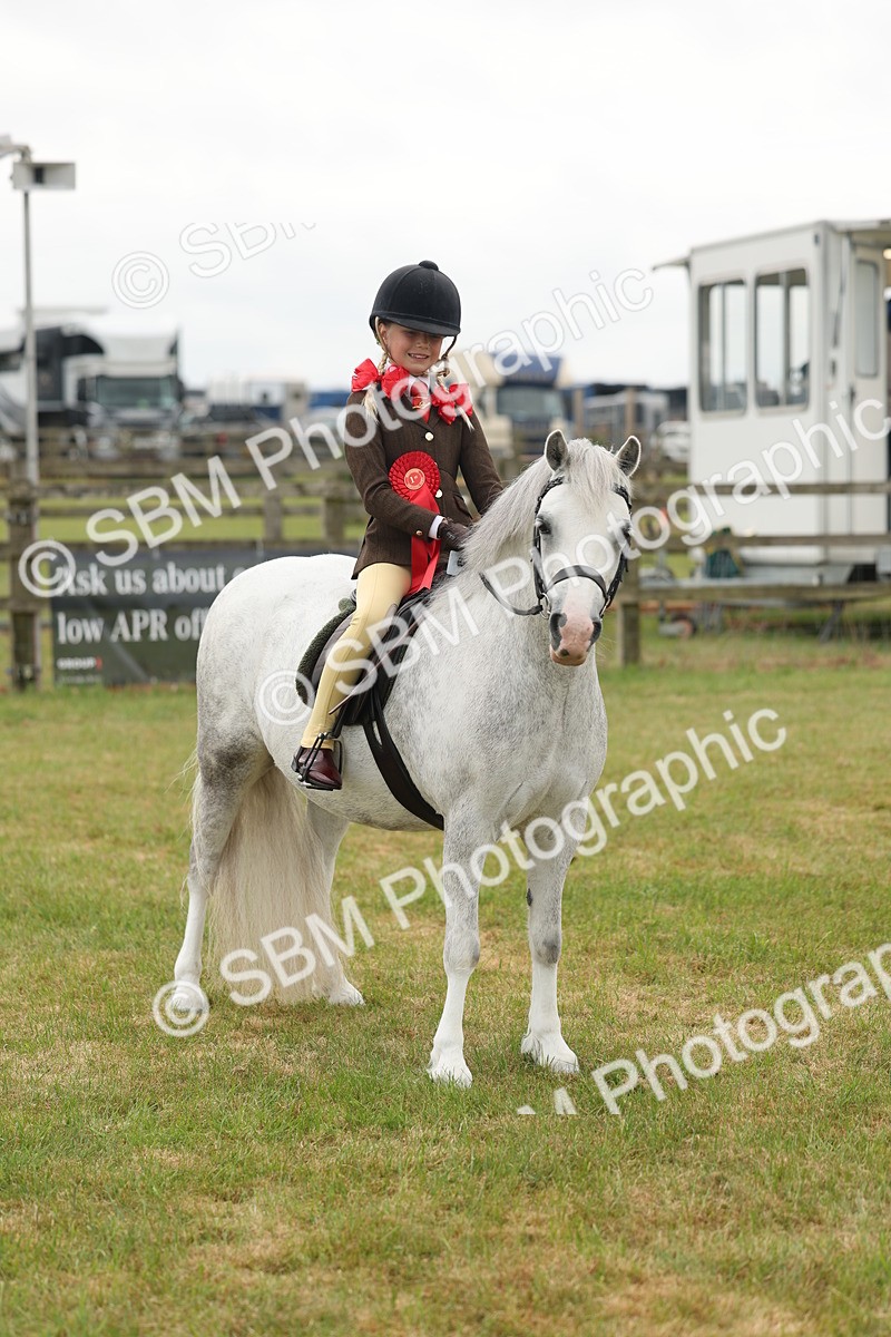 SBM_06897 - Class 74-75 - M&M Lead Rein and First Ridden Pony