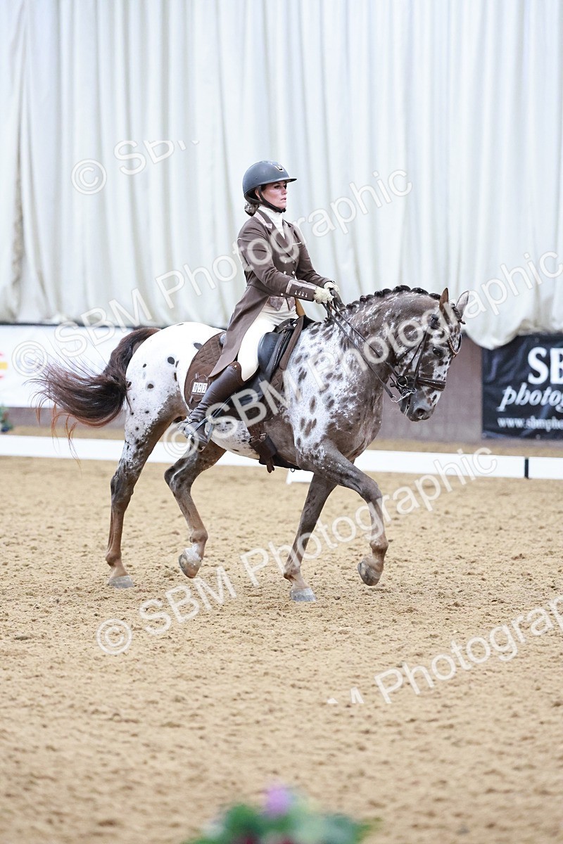 SBM_021409 - Class 14 - FEI Grand Prix - 17.40-18.34