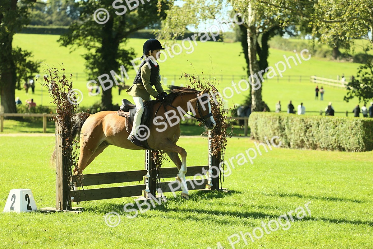 SBM_37417 - S29 - Novice & Newcomers Working Hunter Pony