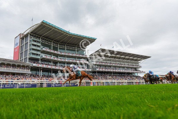 240823-Race 2-Dragon Leader-1167 - Race 2 2.25pm Goffs UK Harry Beeby Premier Yearling Stakes