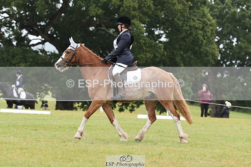 240824X-102115-22221 - D70 Section C and D 9.30 to 11.00