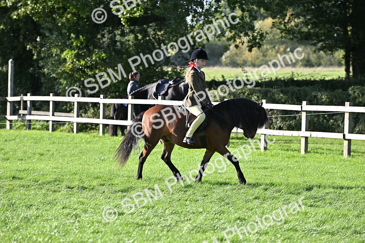 SBM_53018 - S23 - First Ridden Mountain & Moorland Pony